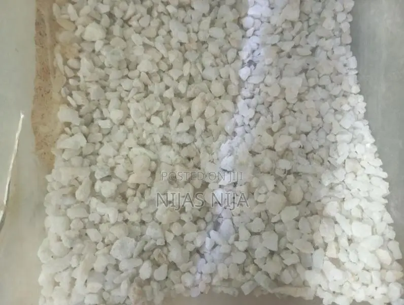 Fishing White Stone