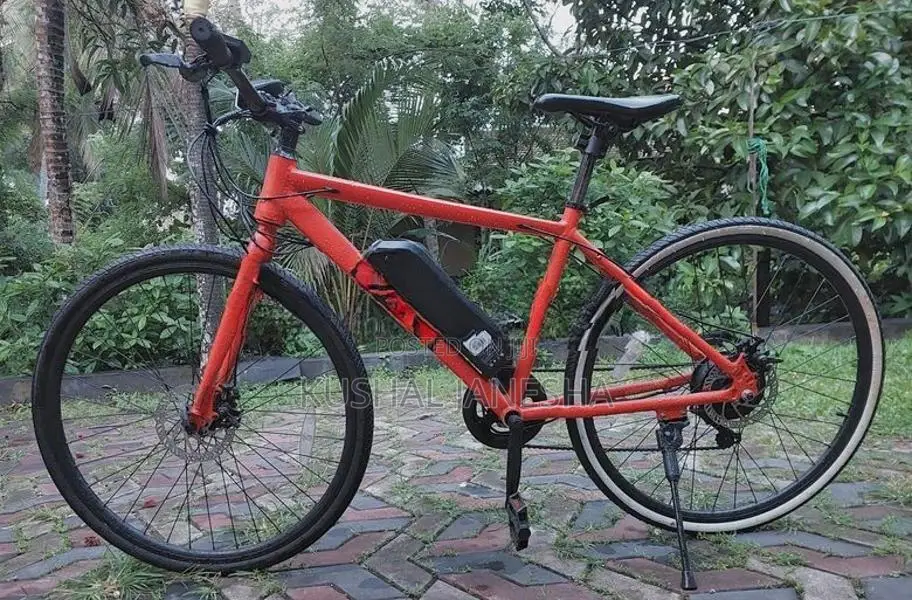 E- Shadow Electric Bicycle