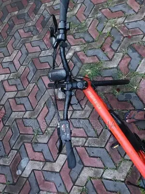 E- Shadow Electric Bicycle