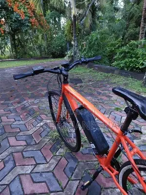 E- Shadow Electric Bicycle