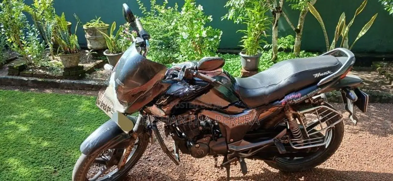 Hero Hunk 150R 2008