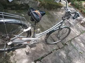 Bicycle