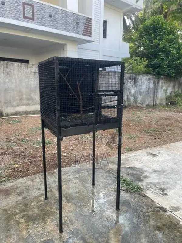 Birds Cage