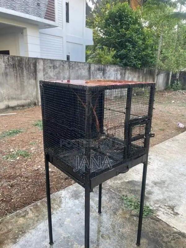Birds Cage