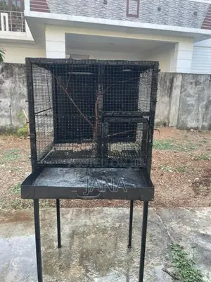 Birds Cage