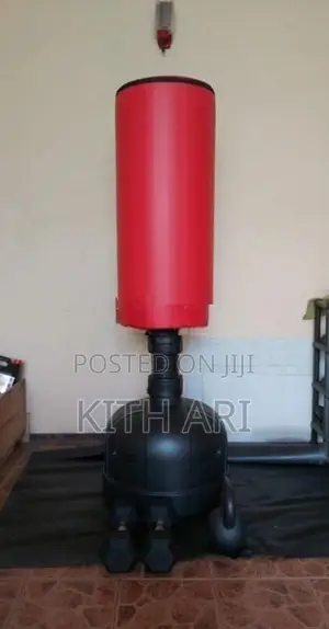 Standing Punching Bag
