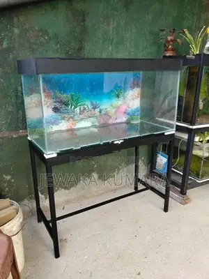Fish Tank