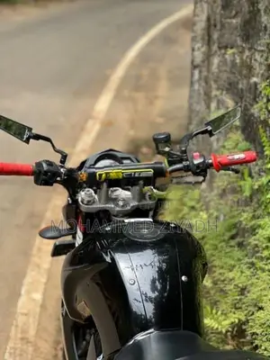 Yamaha FZ 2012