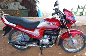 Hero Passion Plus 2008