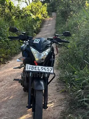 Bajaj Pulsar NS160 2016