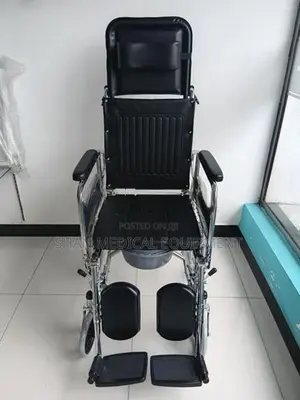 Lizzy B Full Option Wheelchair with Commode