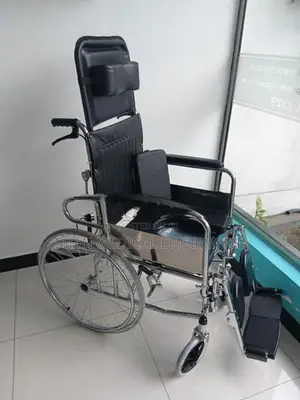 Lizzy B Full Option Wheelchair with Commode