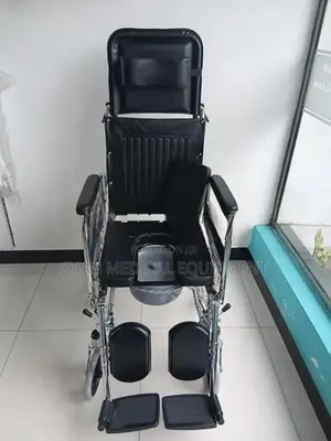 Lizzy B Full Option Wheelchair with Commode