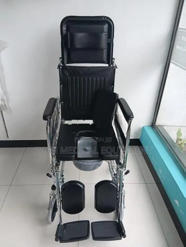 Lizzy B Full Option Wheelchair with Commode