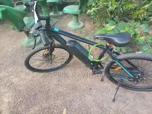 Electric Bicycle