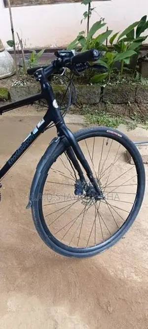 Hybrid bicycle
