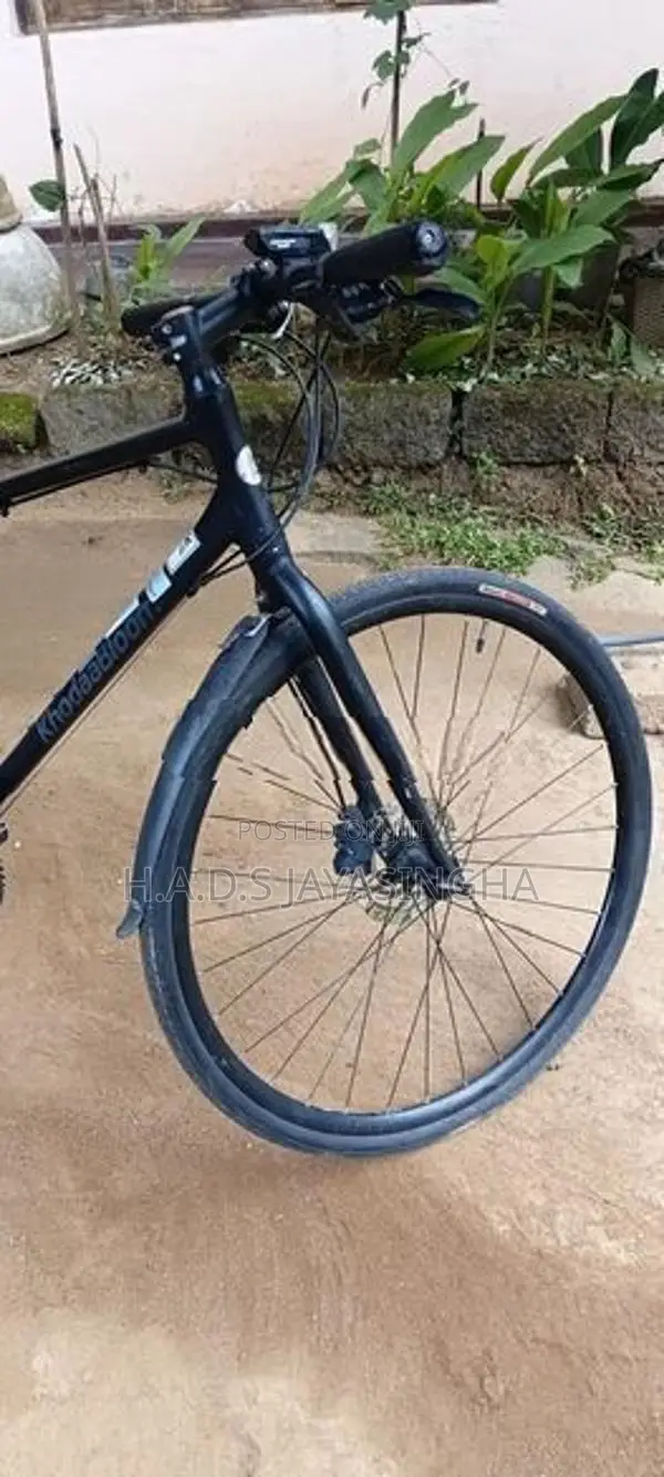 Hybrid bicycle