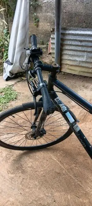 Hybrid bicycle