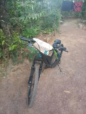 Electric Bicycle
