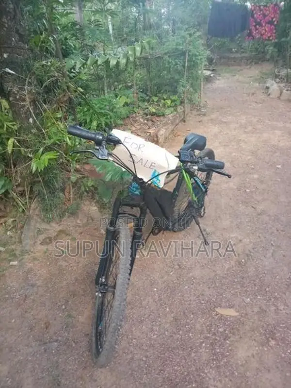 Electric Bicycle