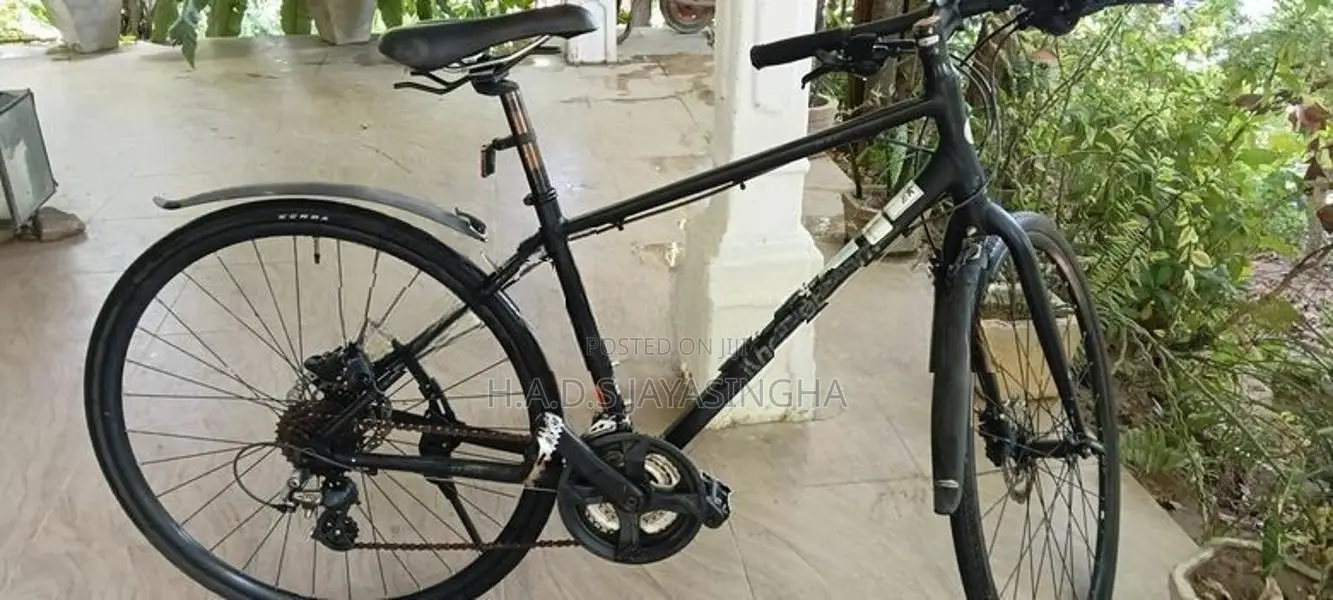 Hybrid bicycle