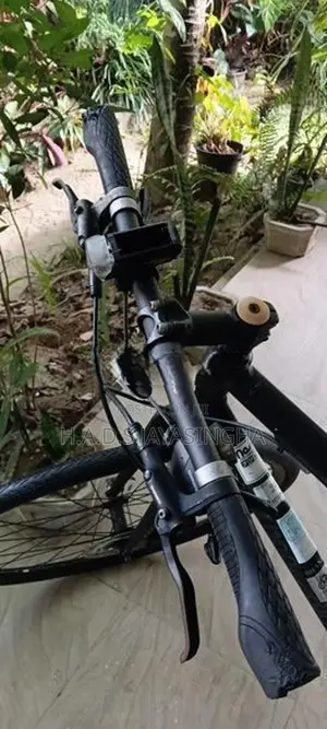 Hybrid bicycle