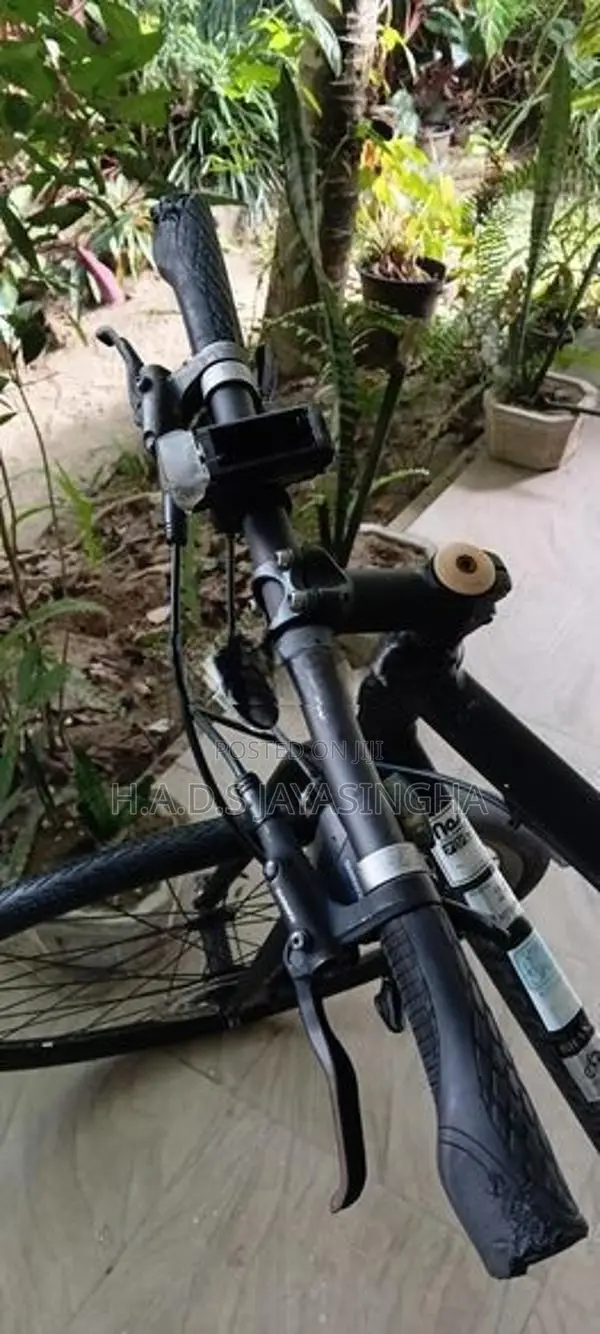Hybrid bicycle