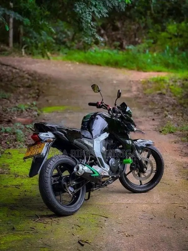 Yamaha FZs V2 2018
