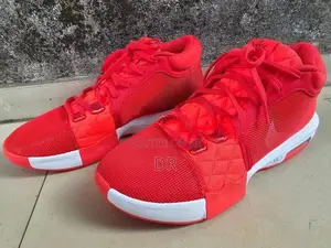Nike Lebron Witness 8