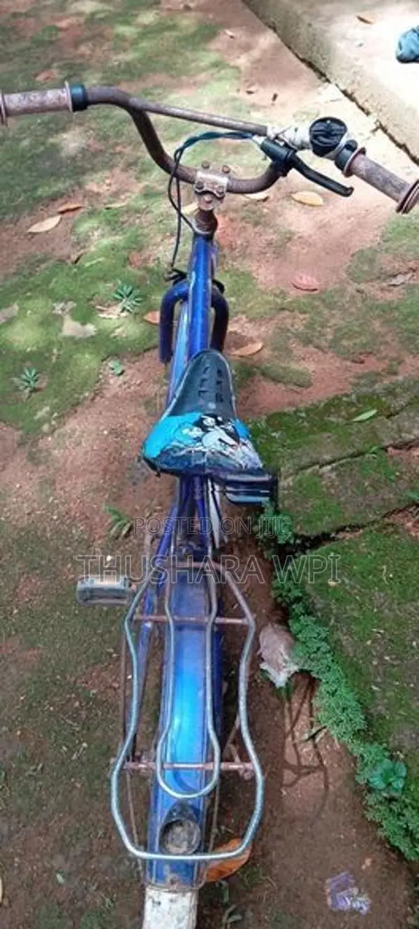 bicycles