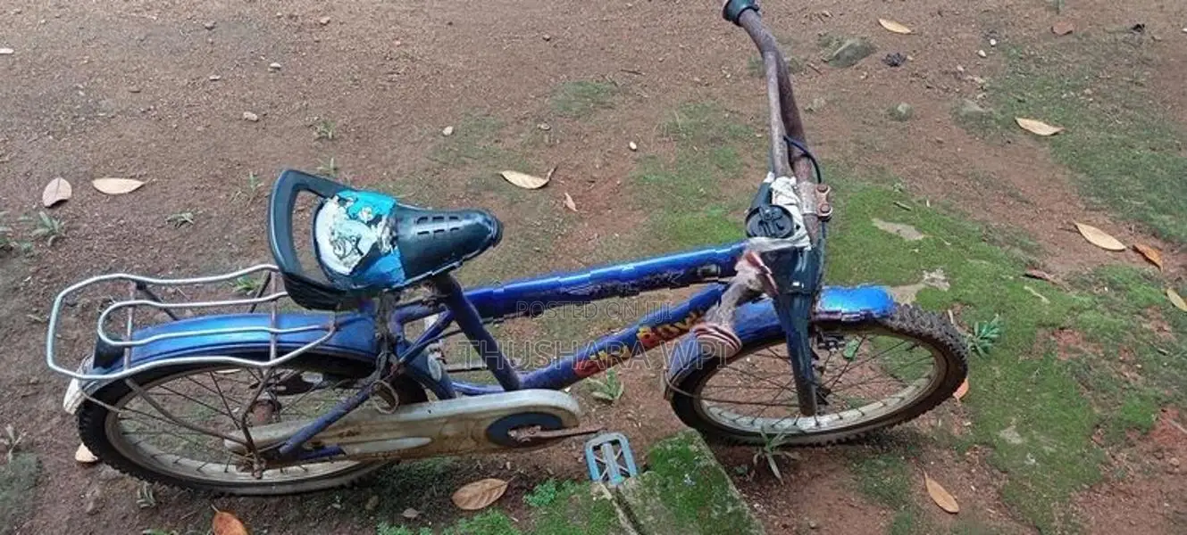 bicycles