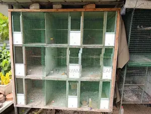 Bird Cage
