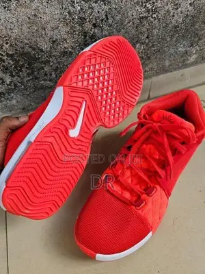 Nike Lebron Witness 8