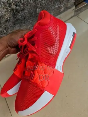 Nike Lebron Witness 8