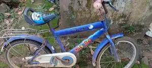 bicycles