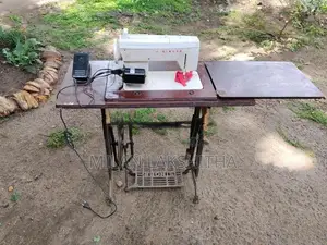 Zigzag Machine with Mortor