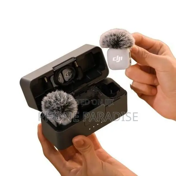 Mic Mini 2