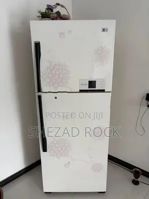 LG Double Door Refrigerator (Fridge)