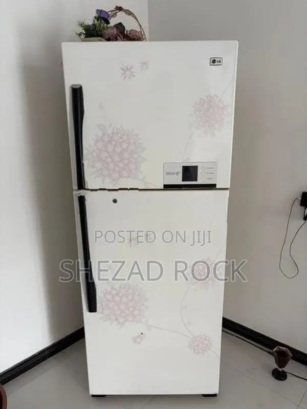 LG Double Door Refrigerator (Fridge)