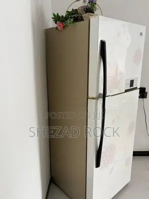 LG Double Door Refrigerator (Fridge)