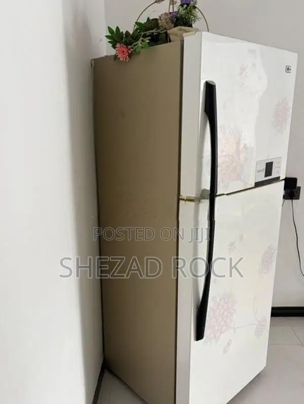 LG Double Door Refrigerator (Fridge)