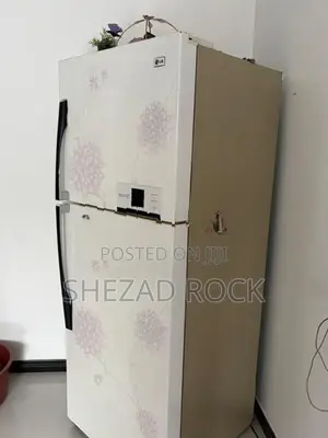 LG Double Door Refrigerator (Fridge)