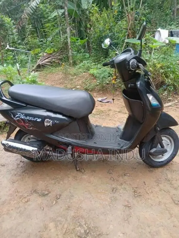 Hero Pleasure 2009