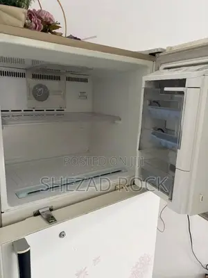 LG Double Door Refrigerator (Fridge)