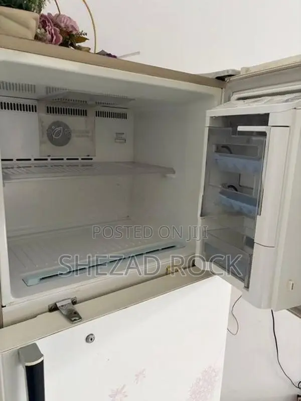 LG Double Door Refrigerator (Fridge)
