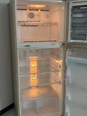 LG Double Door Refrigerator (Fridge)