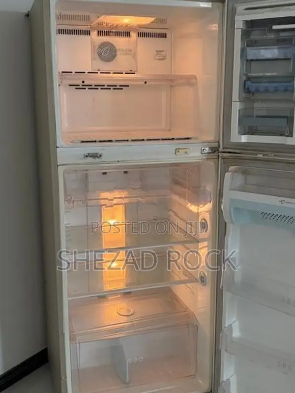 LG Double Door Refrigerator (Fridge)