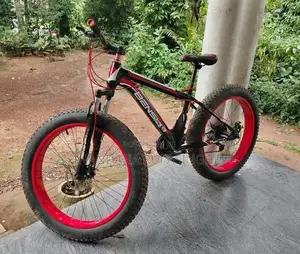 Fat tire bicycle