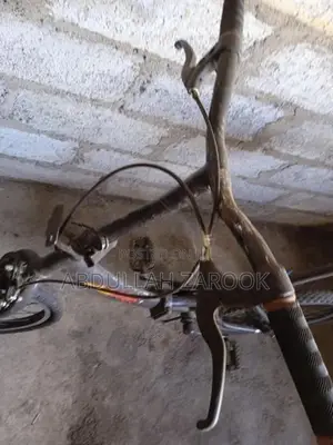 Aima Liberty Bike