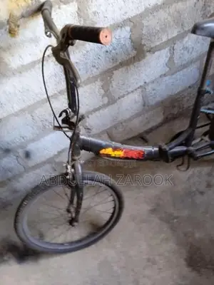 Aima Liberty Bike